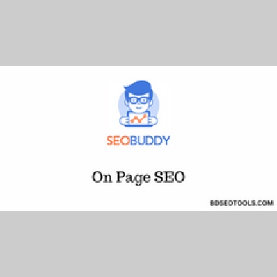 SEO Buddy